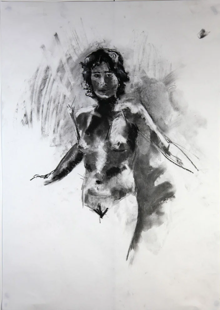 Shadow Nude #4 2012 | 42 x 59.2 cm Charcoal / compressed charcoal Signed on front Buy this artwork