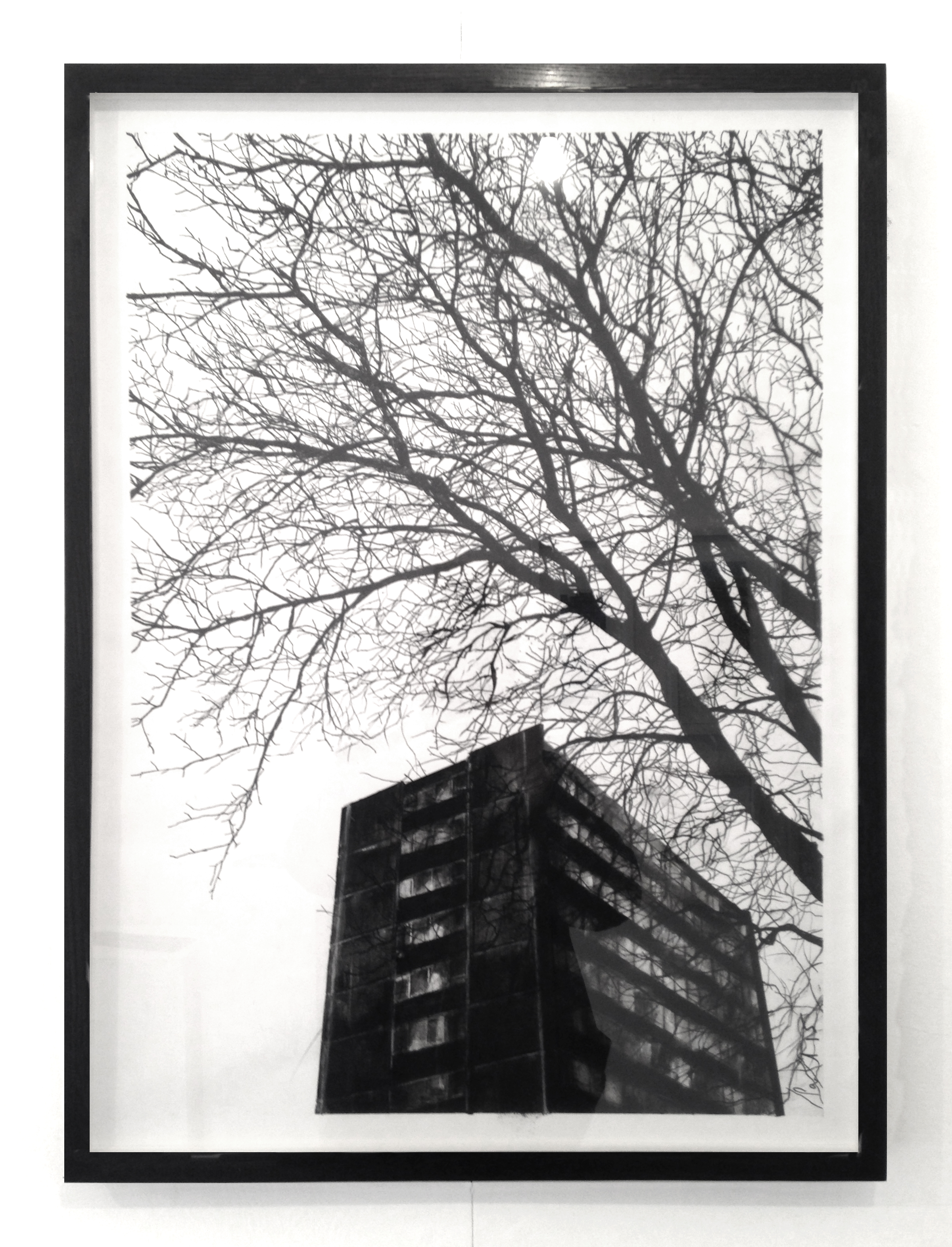de Beauvoir Plane 2015 | 47.5 x 68cm Charcoal & compressed charcoal Signed SOLD
