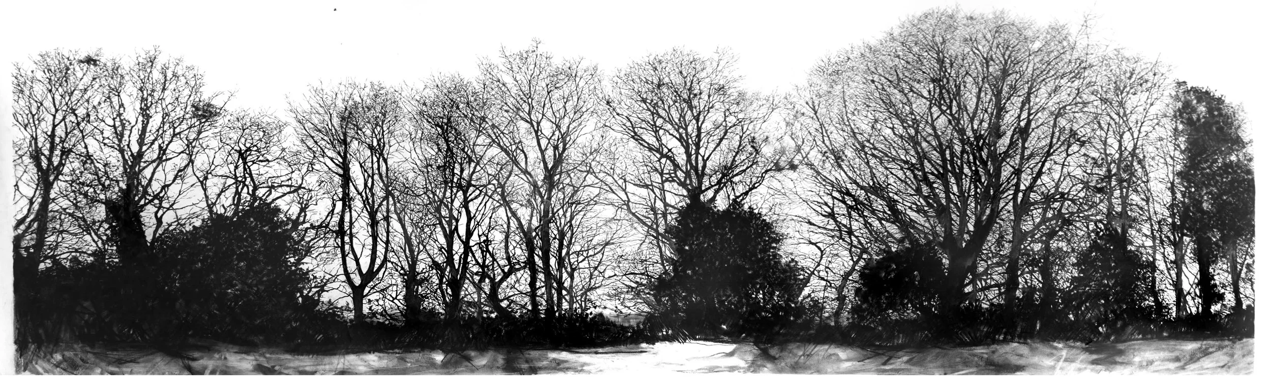 The Standing People, Dorset 2014 | 204 x 84cm Charcoal & compressed charcoal Signed SOLD