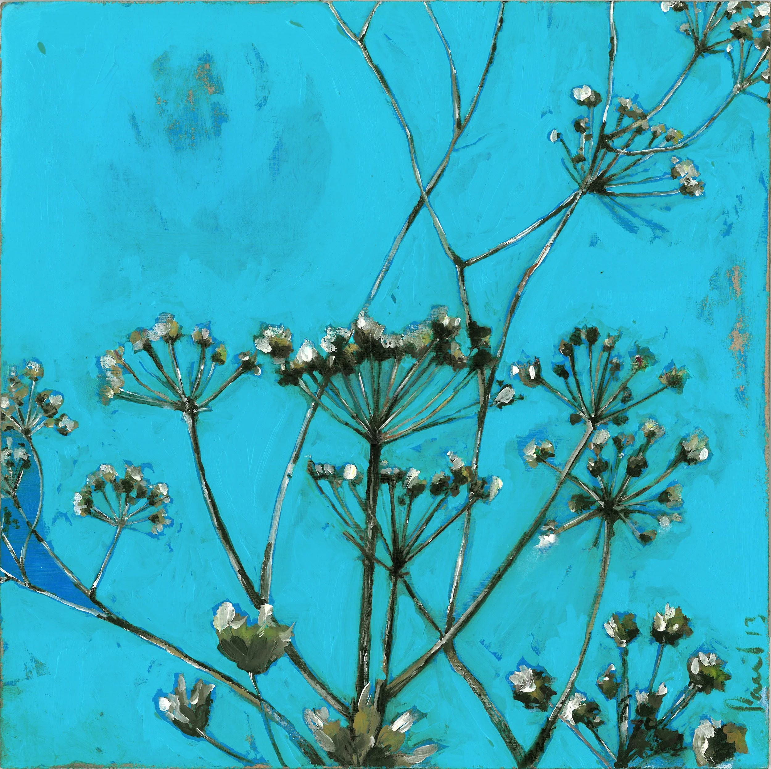 Wild Hogweed 2013 | 33 x 33 x .5 Acrylic on board Signed SOLD