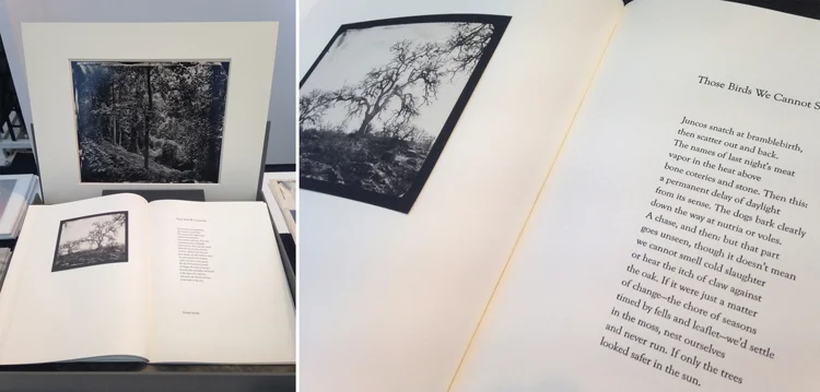 To the Wheatlight of June – Ben Nixon (photographs) and Steven Brown (poems) Edition: 50 numbered sets – 21st Editions