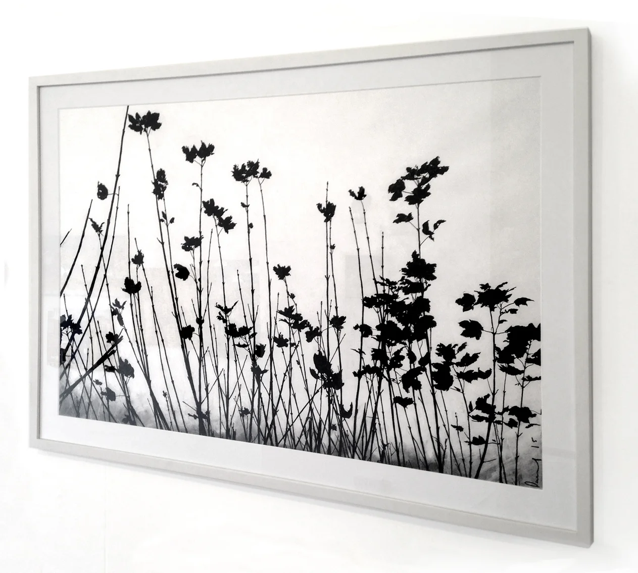 Hedgerow, Wales (framed)