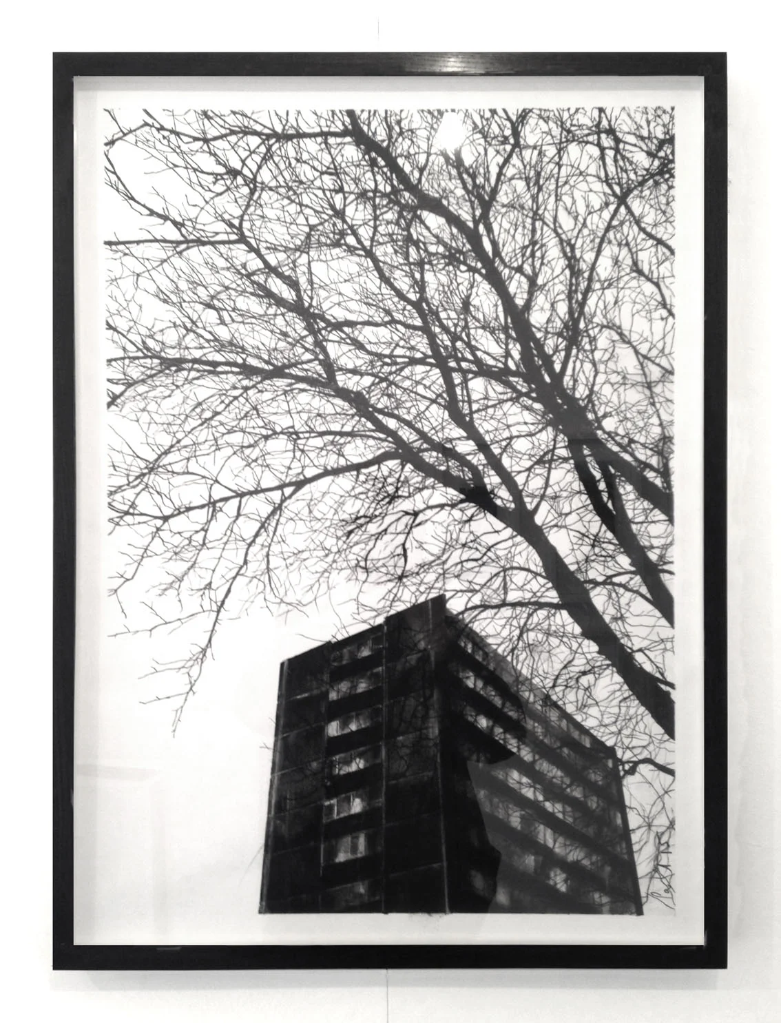 de Beauvoir Plane