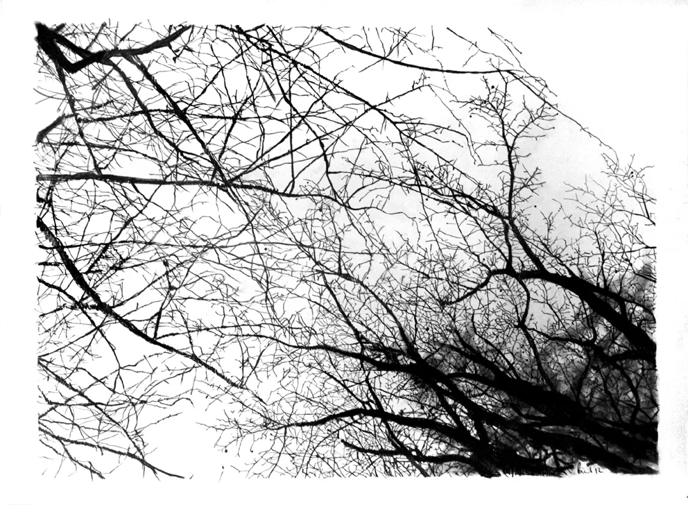 Branches