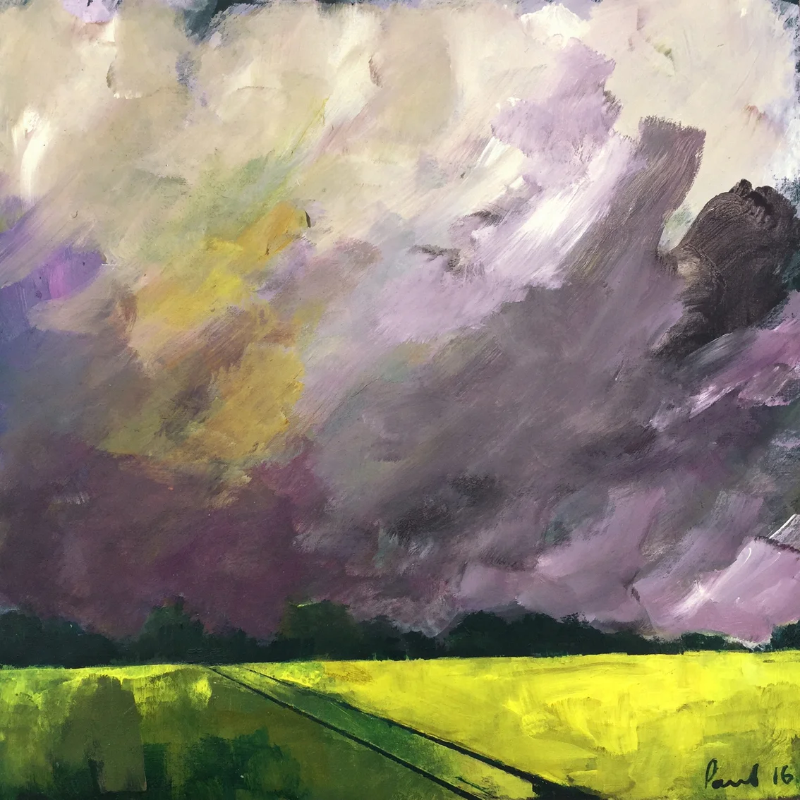 Storm 2016 | 30.5 x 30.5 x .6cm Acrylic on board Signed £390 - S OLD