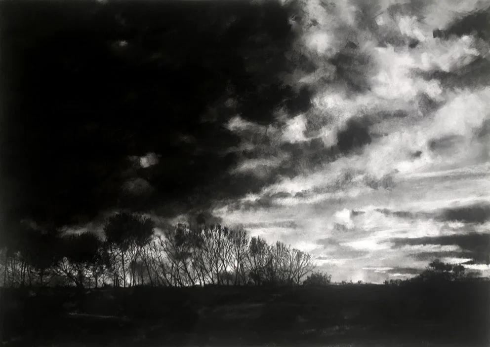 Wintertide 2017 | 84 x 60cm Charcoal & compressed charcoal Signed on front SOLD