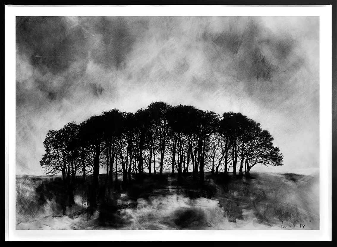 Charcoal Drawings - Paul West Art