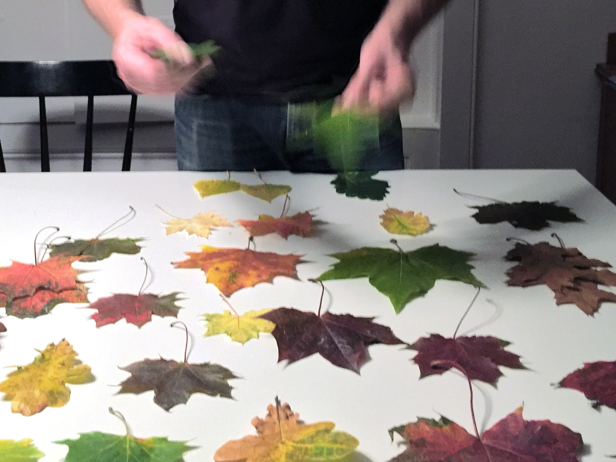 Picking the leaf