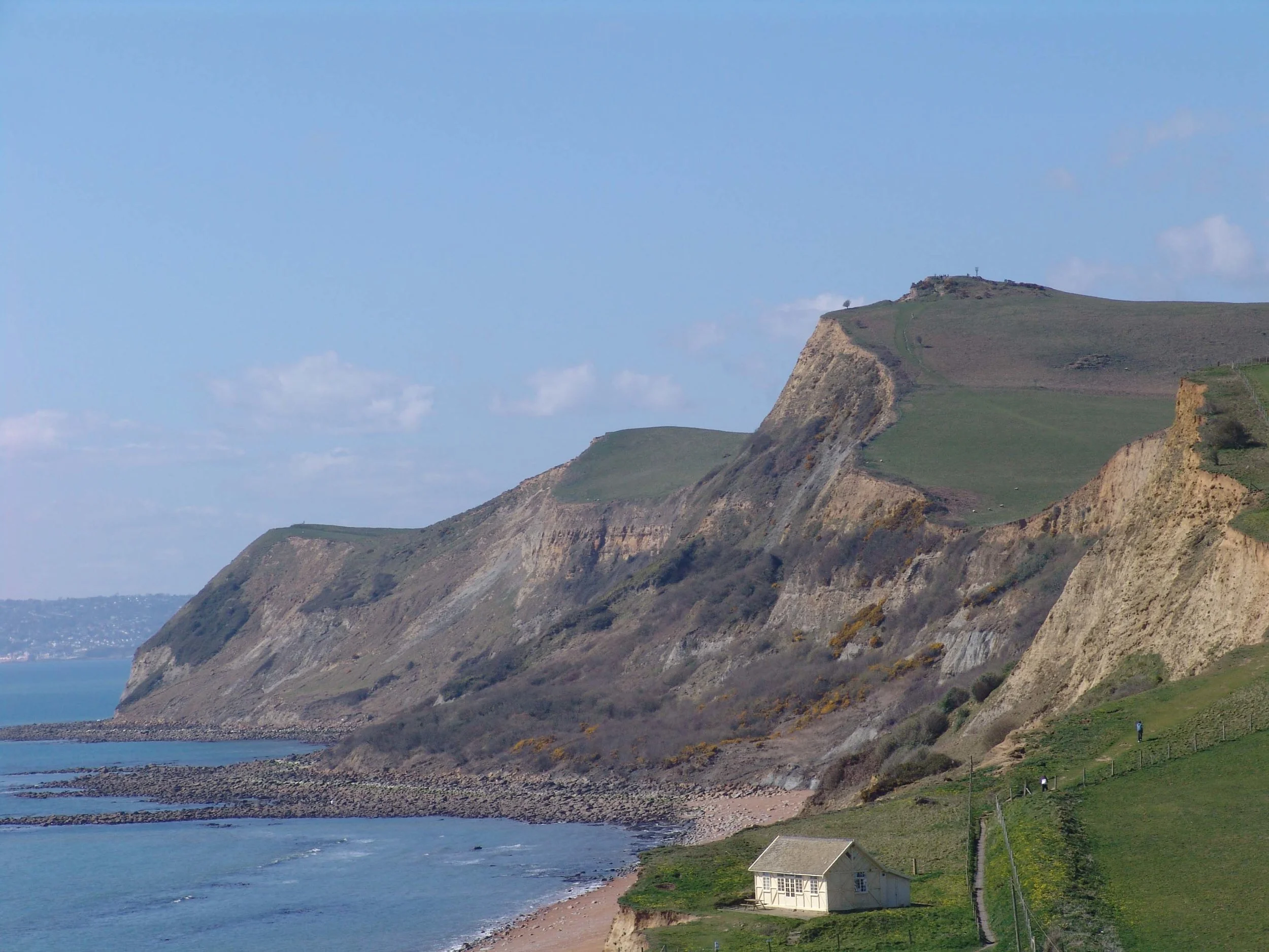 Eypes Mouth, looking towards Golden Cap (Lyme Regis in the background). See that solitary tree on the first cliff? I can't tell you how many years I've loved that tree.