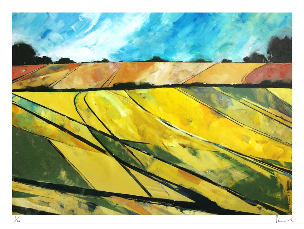 Alnmouth Fields 2017 | 62 x 82 x 3cm Acrylic on canvas Signed on front Framed BUY PRINT