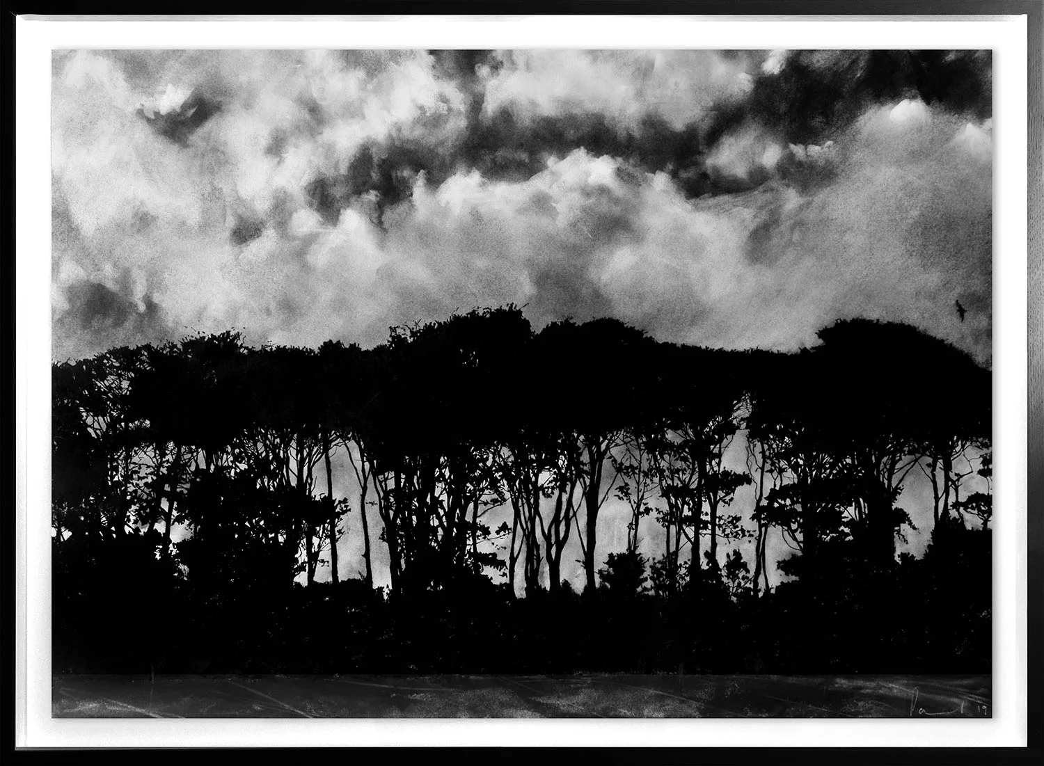 Tree Line 2019 | 84 x 60cm Conte and charcoal Signed BUY PRINT