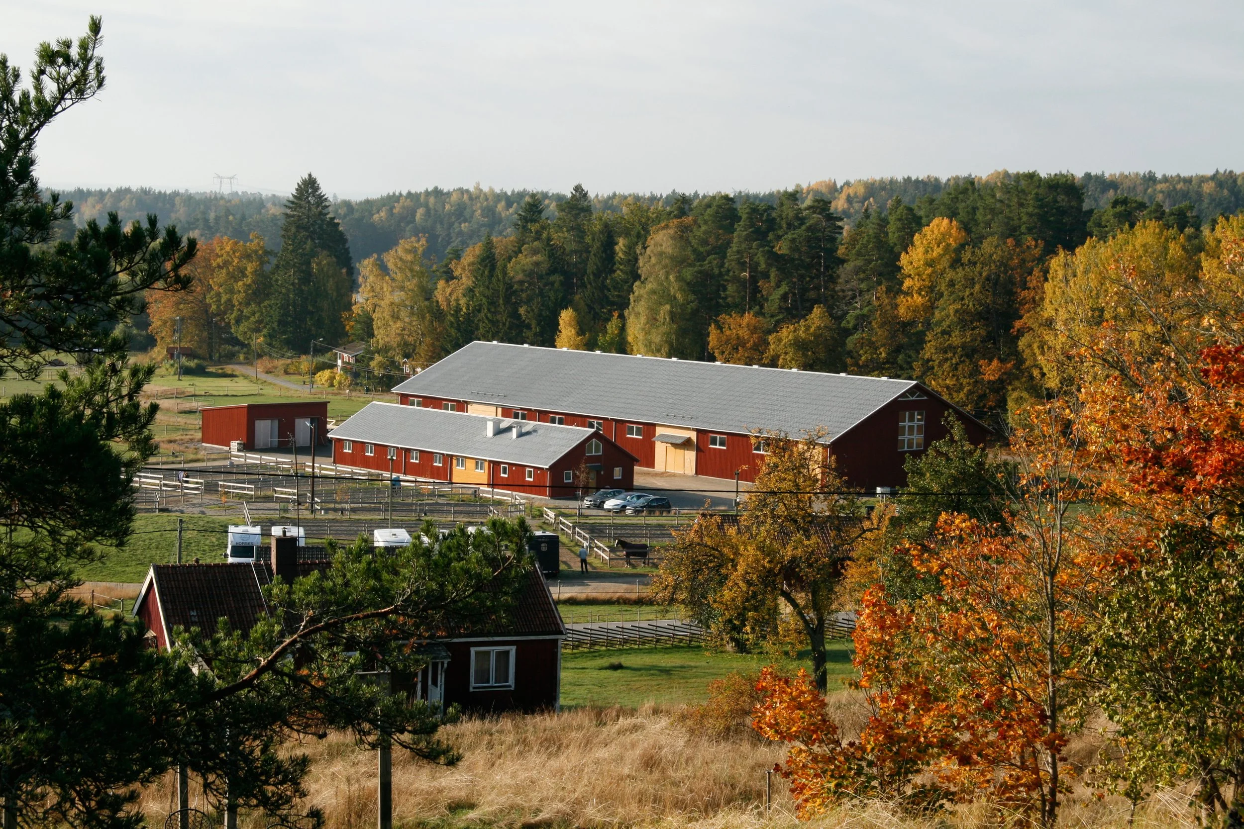 _MG_2130.jpg