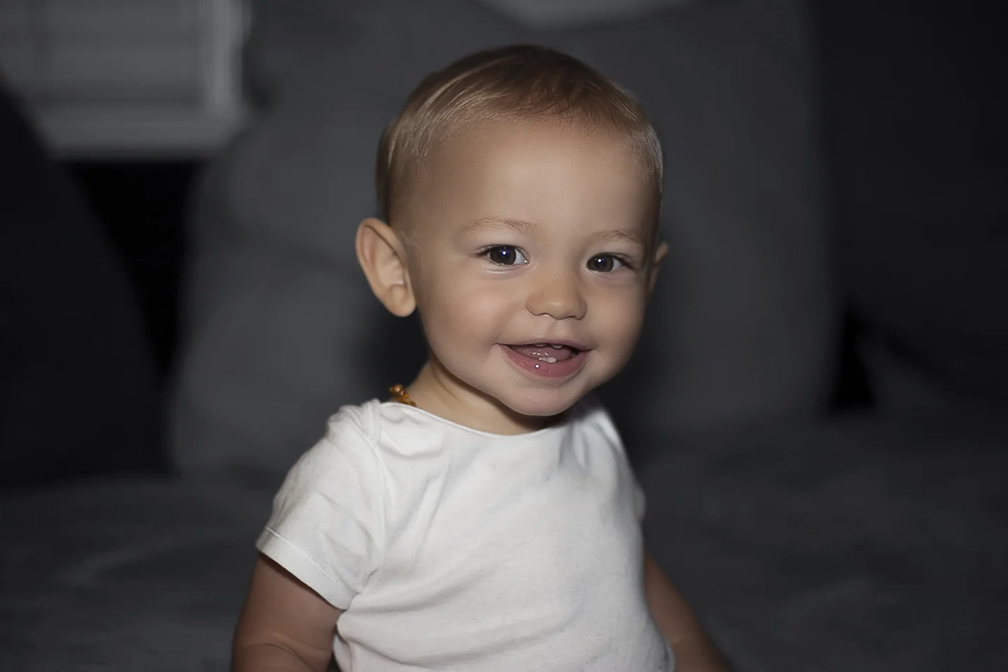 Bronson with Flash2.jpg