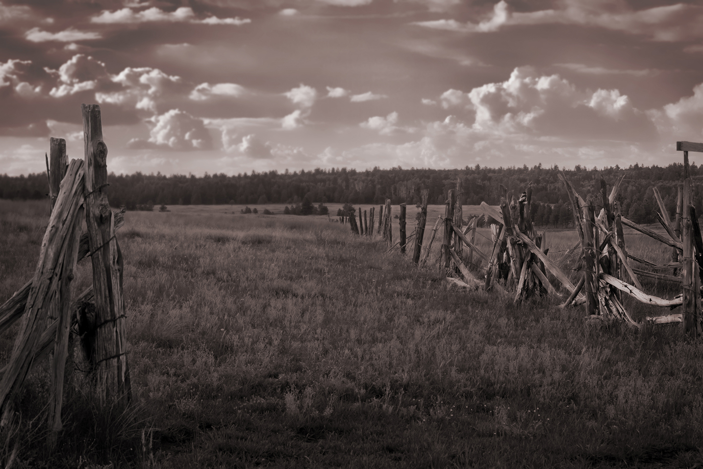 Black & White Fence.jpg