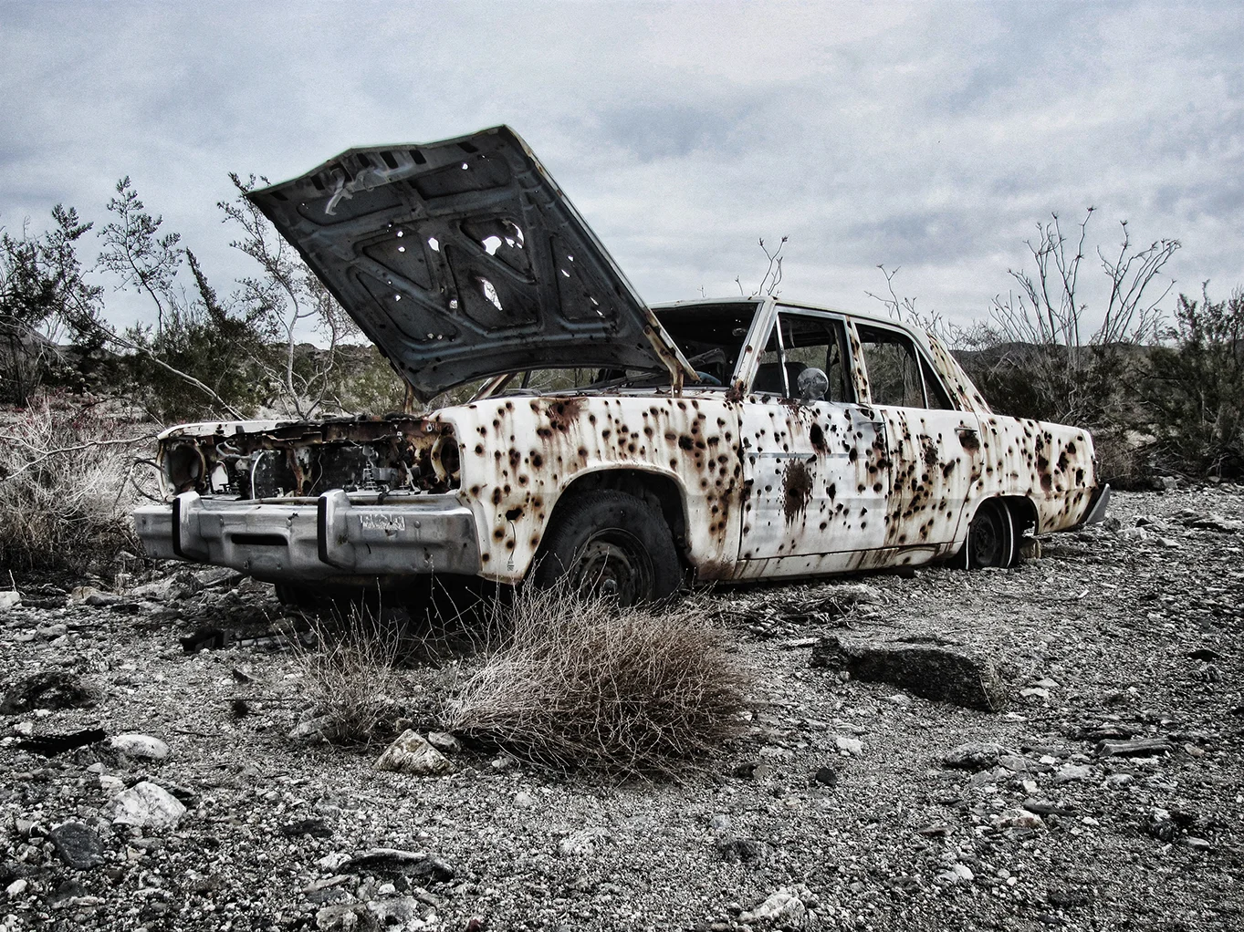 Car Desert CP.jpg