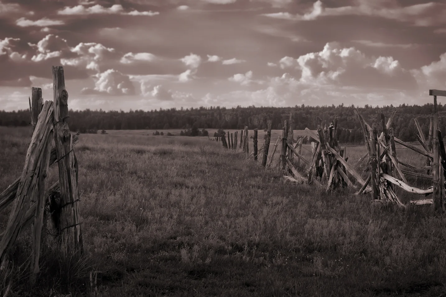 Black & White Fence.jpg