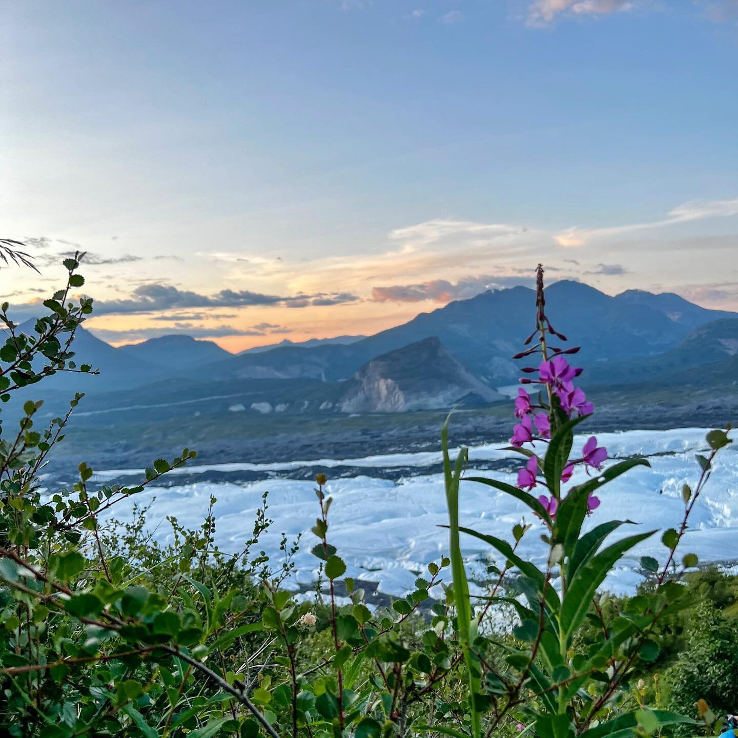 Some views never get old 🌸
.
.
.
.

#alpenglow #luxurycamping #glamping  #alaska #alaskalife #matanuskaglacier #glacier #exposure #adventure #explore #livemore #exploremore #alaskaliving #alaskaadventure #glaciercamp #summer23 #alaskaglamping #alask