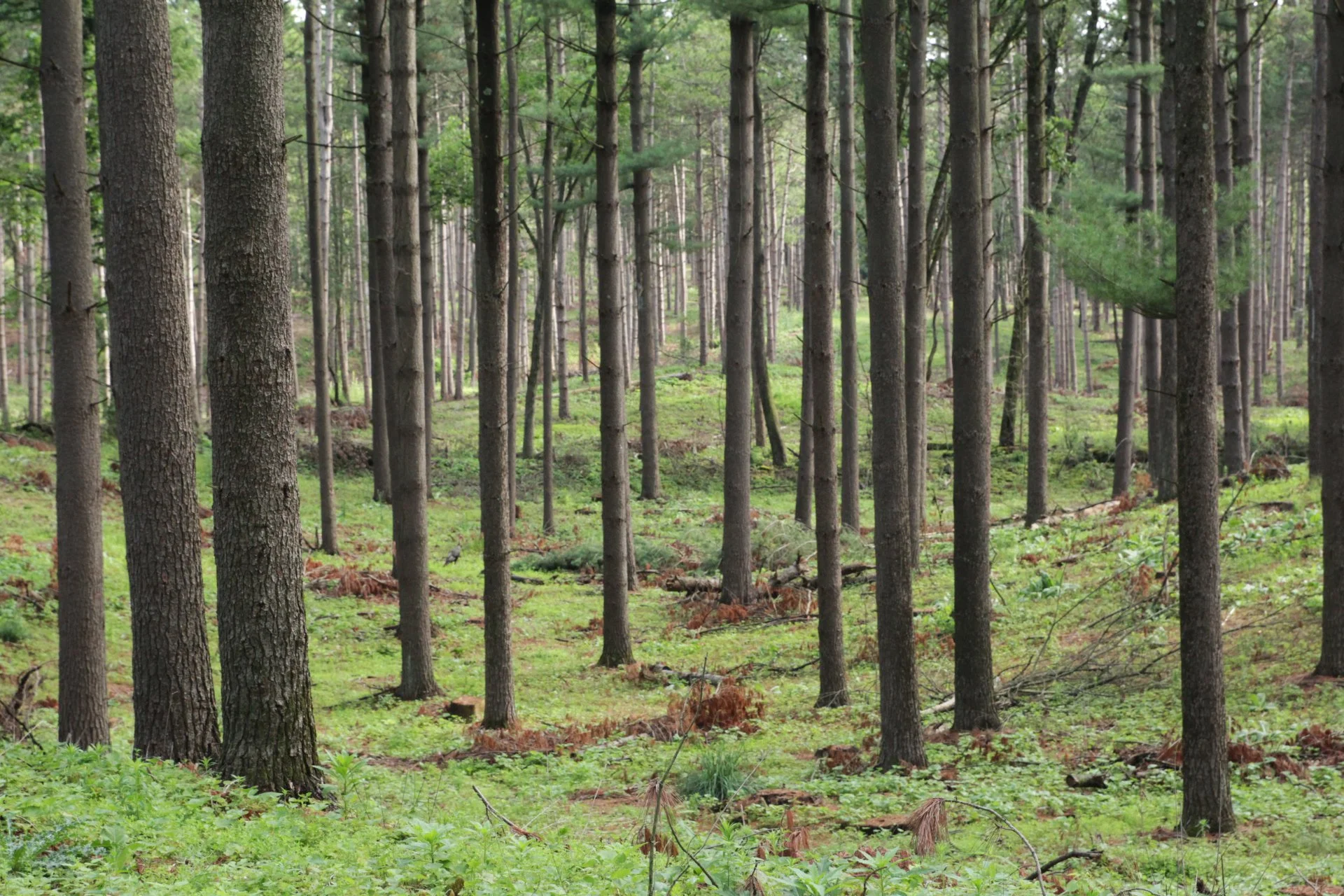 Wisconsin locations scouted by Stephanie Bartz Locations