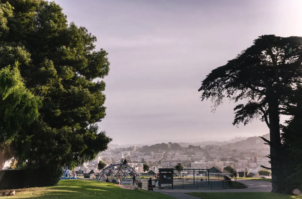 Welcome to Presidio Heights