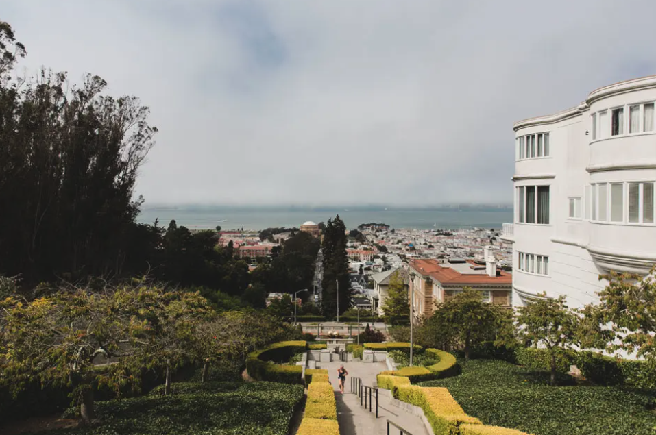 Welcome to Pacific Heights