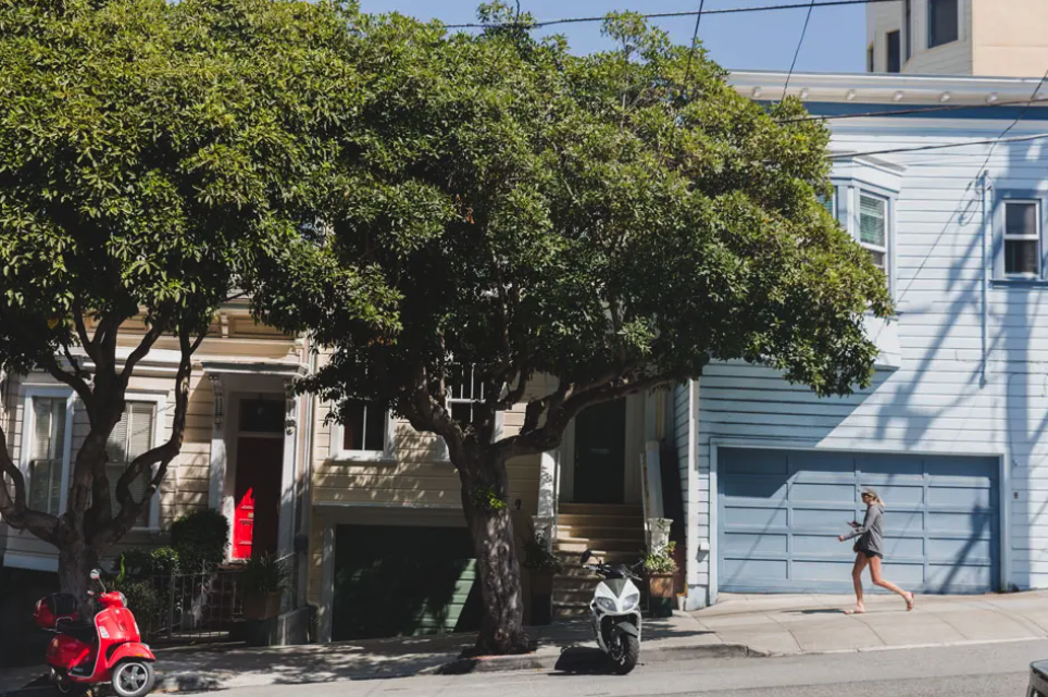 Welcome to Cow Hollow