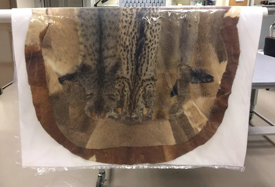 Kaross, or cloak, from South Africa, donated by Claire Zeisler in 1967. Catalog number 221257. © The Field Museum. Photograph by Sarah Parrish.