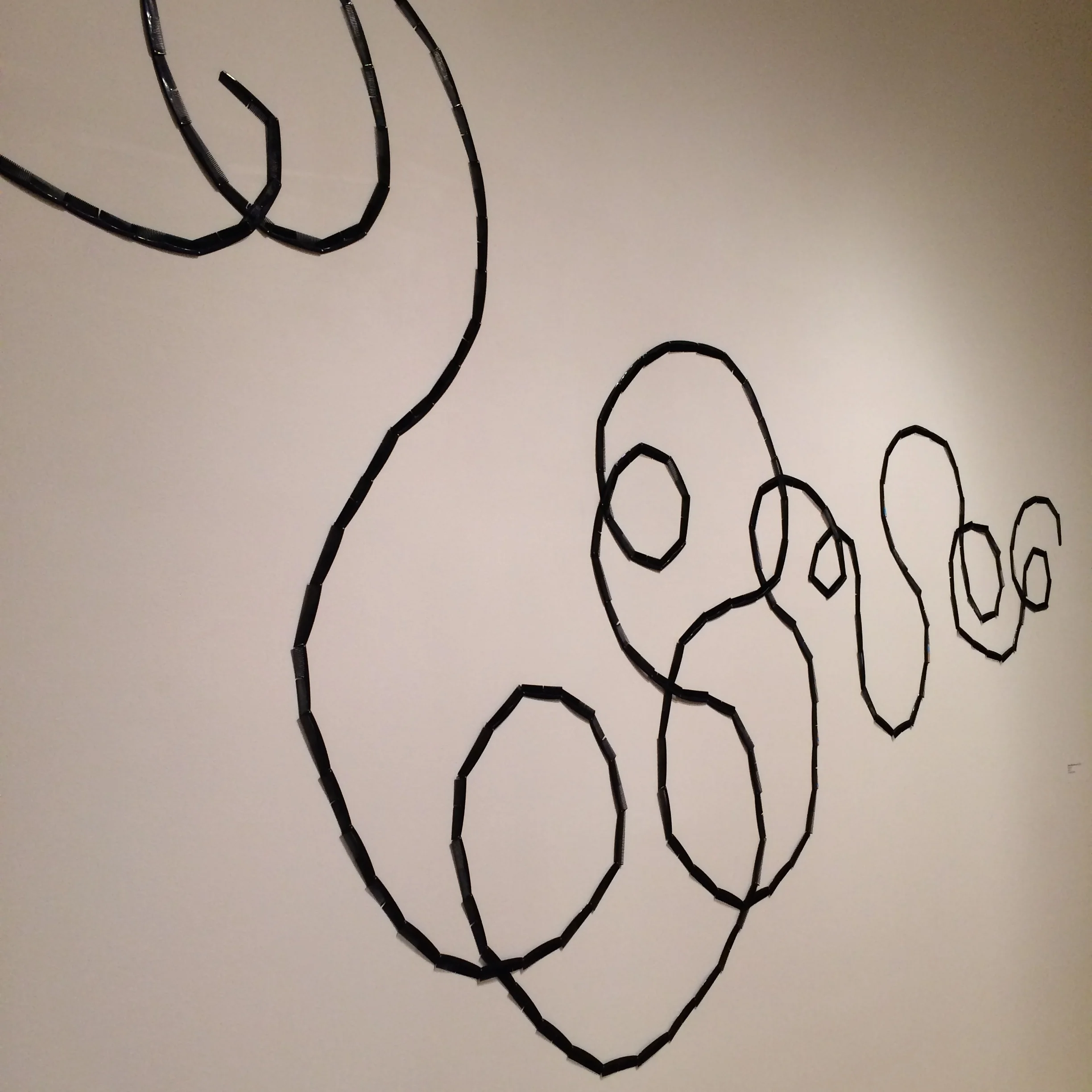 Oblique view of Sonya Clark, Tendril , 2007, combs.