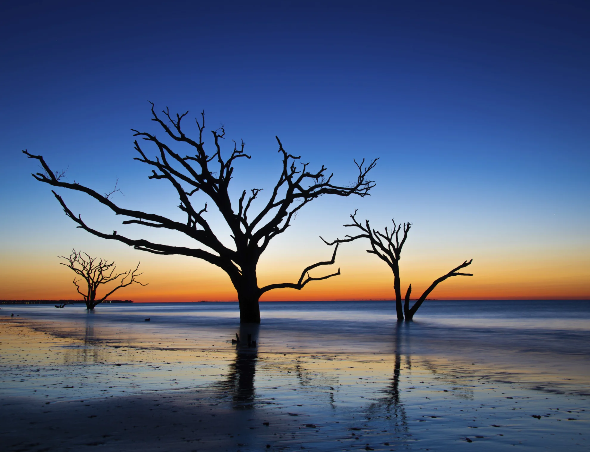 Edisto