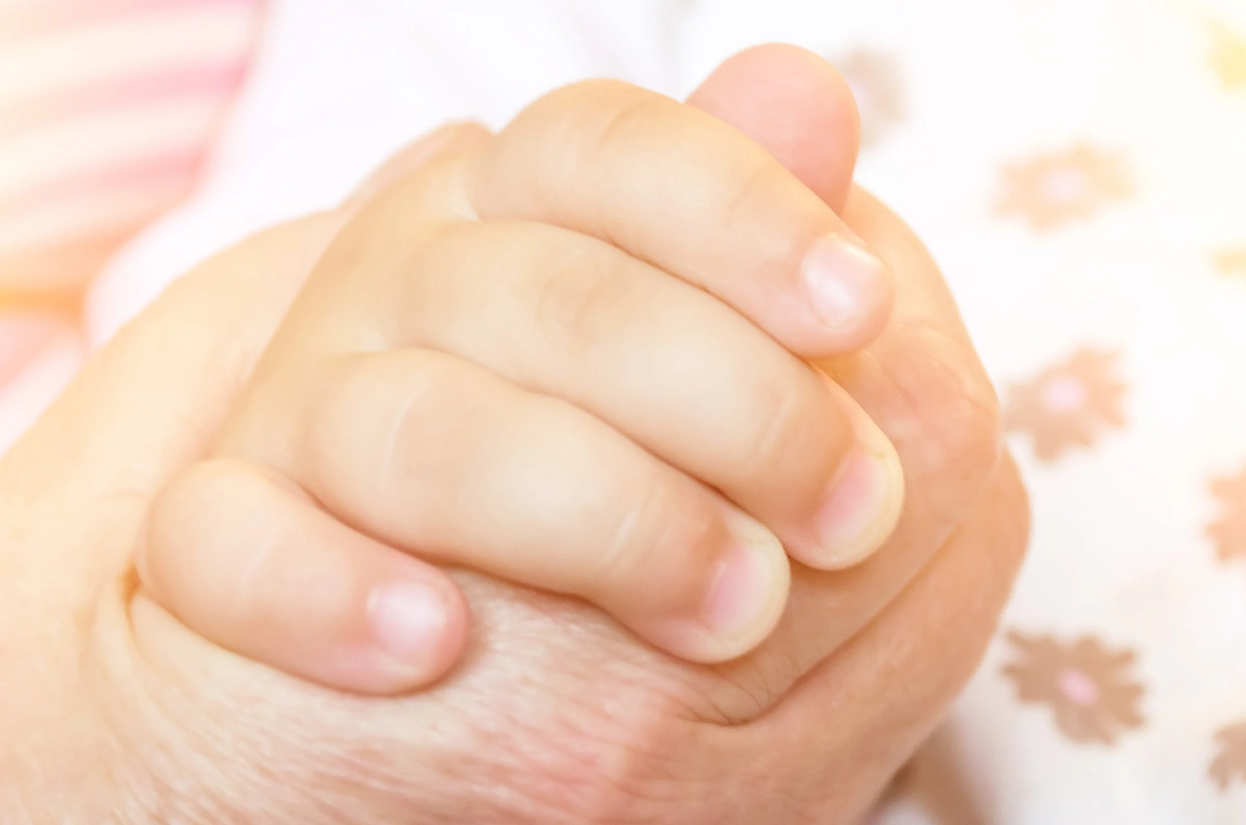 toddler hand.jpg