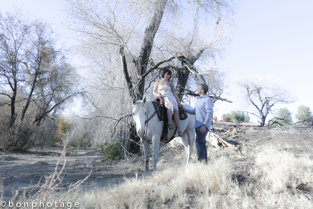 Sunkissed desert love