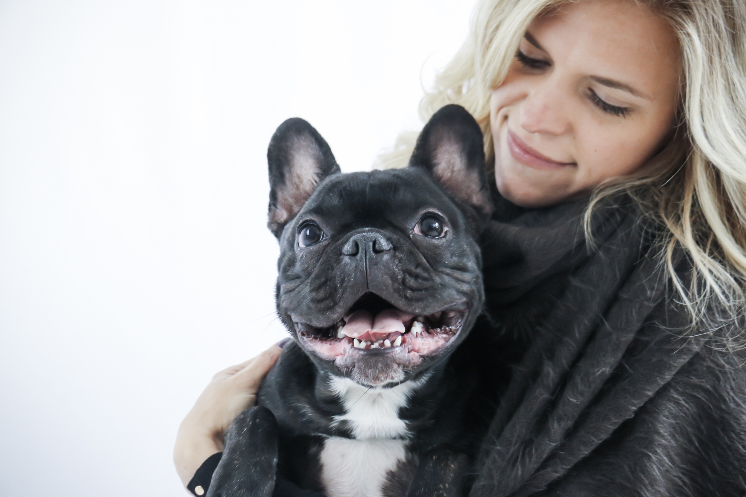 Bonphotage Chicago Family and Pet Portraits