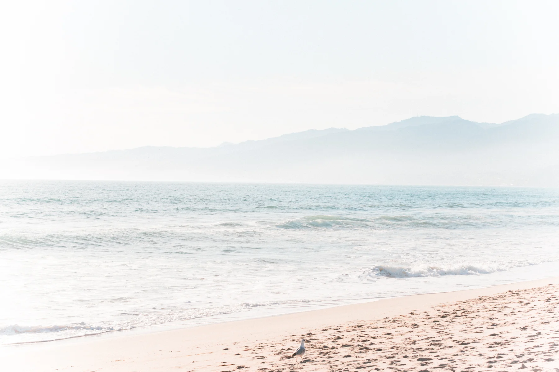 Santa Monica Photography&nbsp;