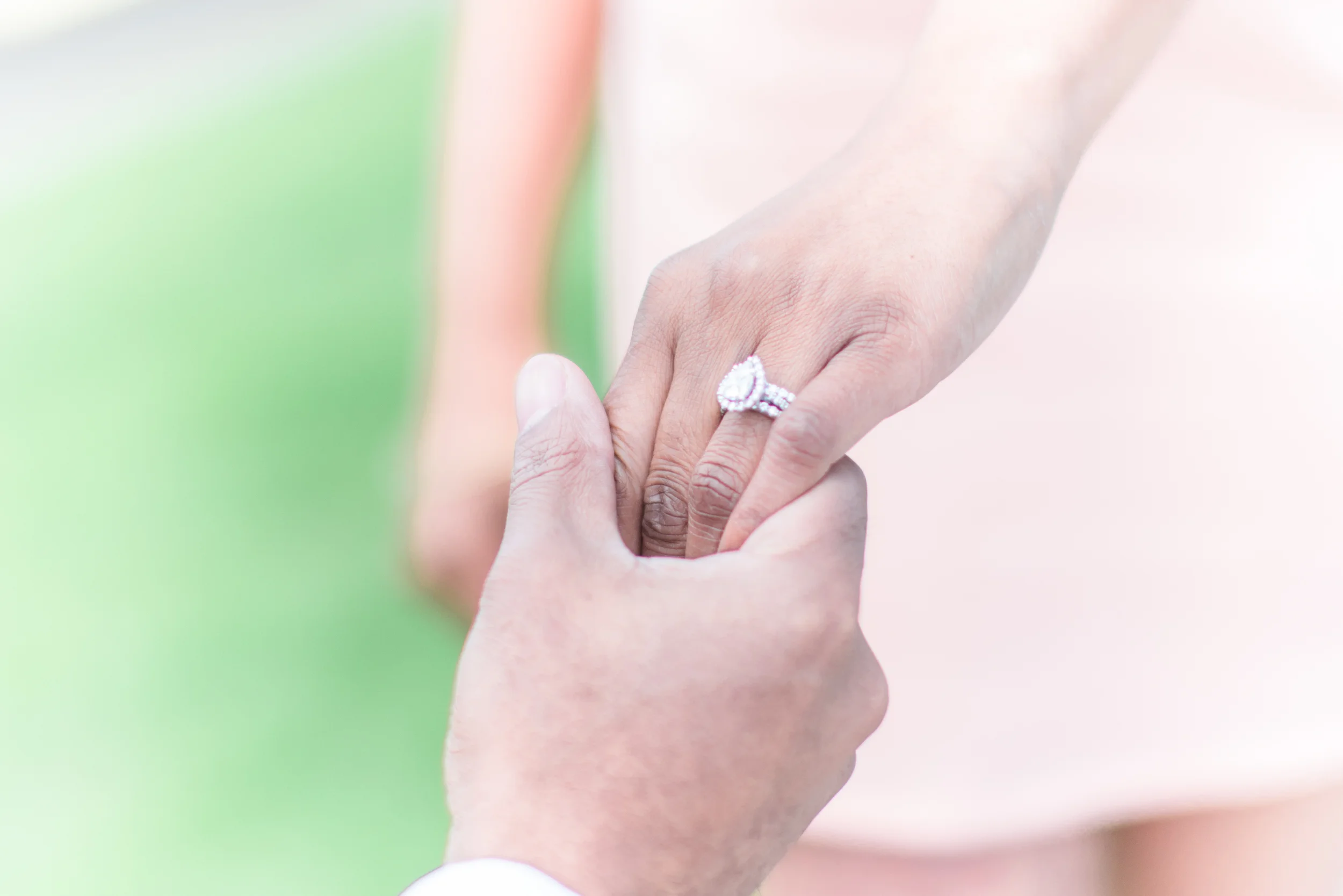 Bonphotage - Shannon + Brittani Chicago Engagement 