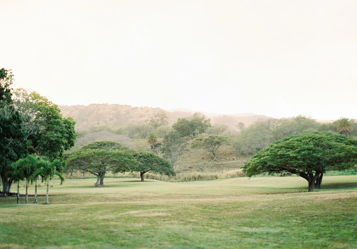 greystone -7.jpg
