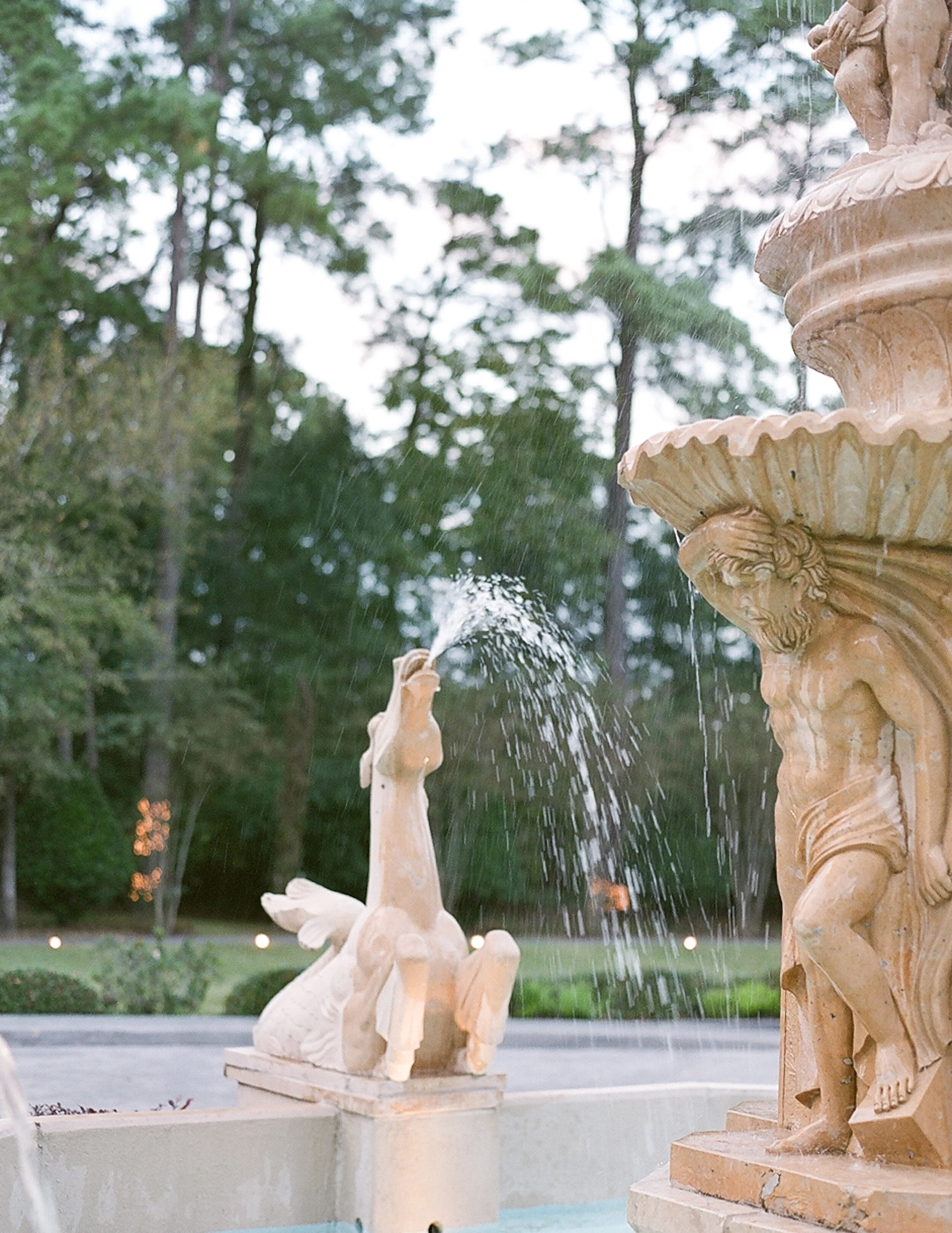bonphotage film - b-208.jpg