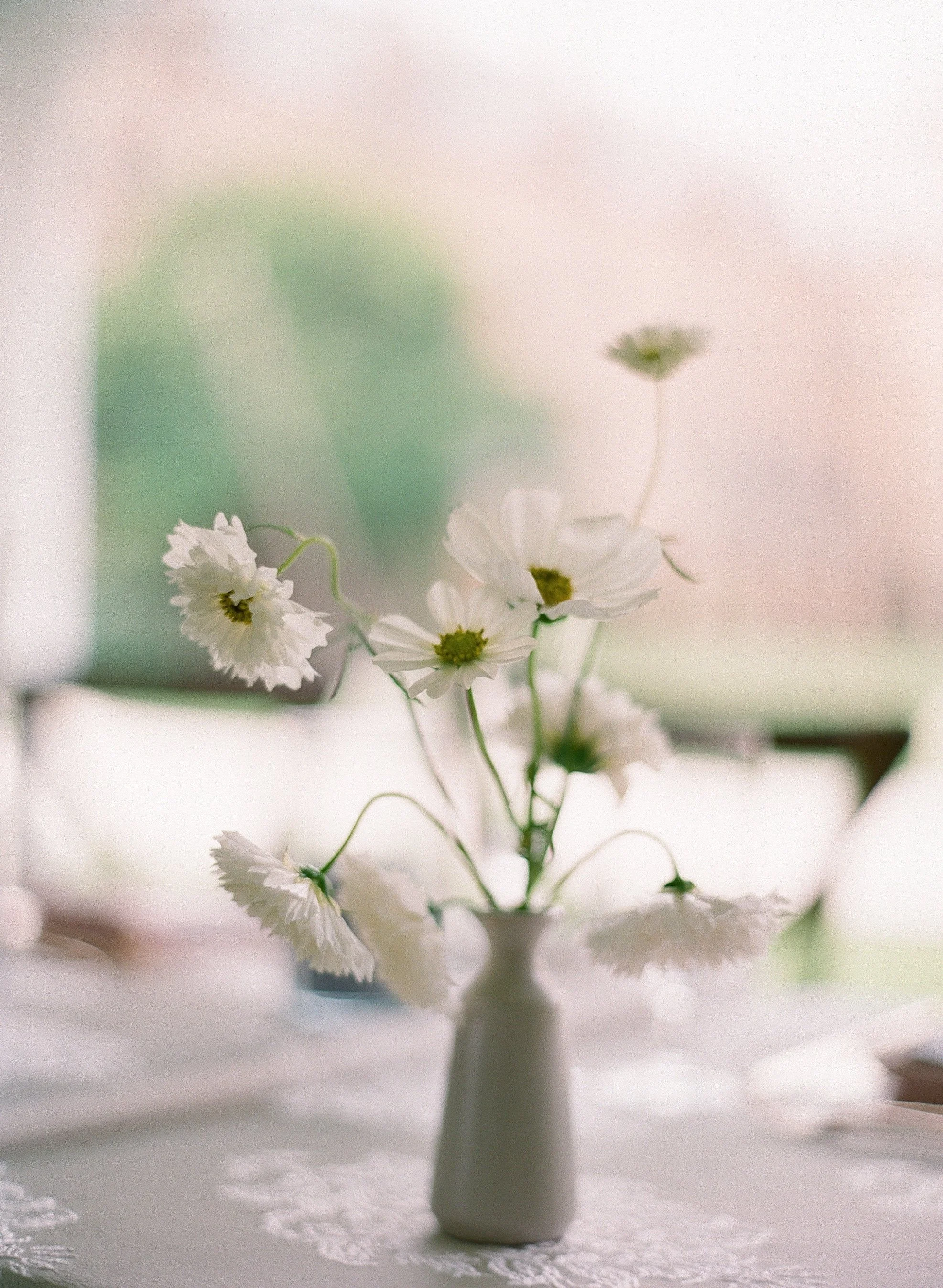 bonphotagefilm-b-8.jpg