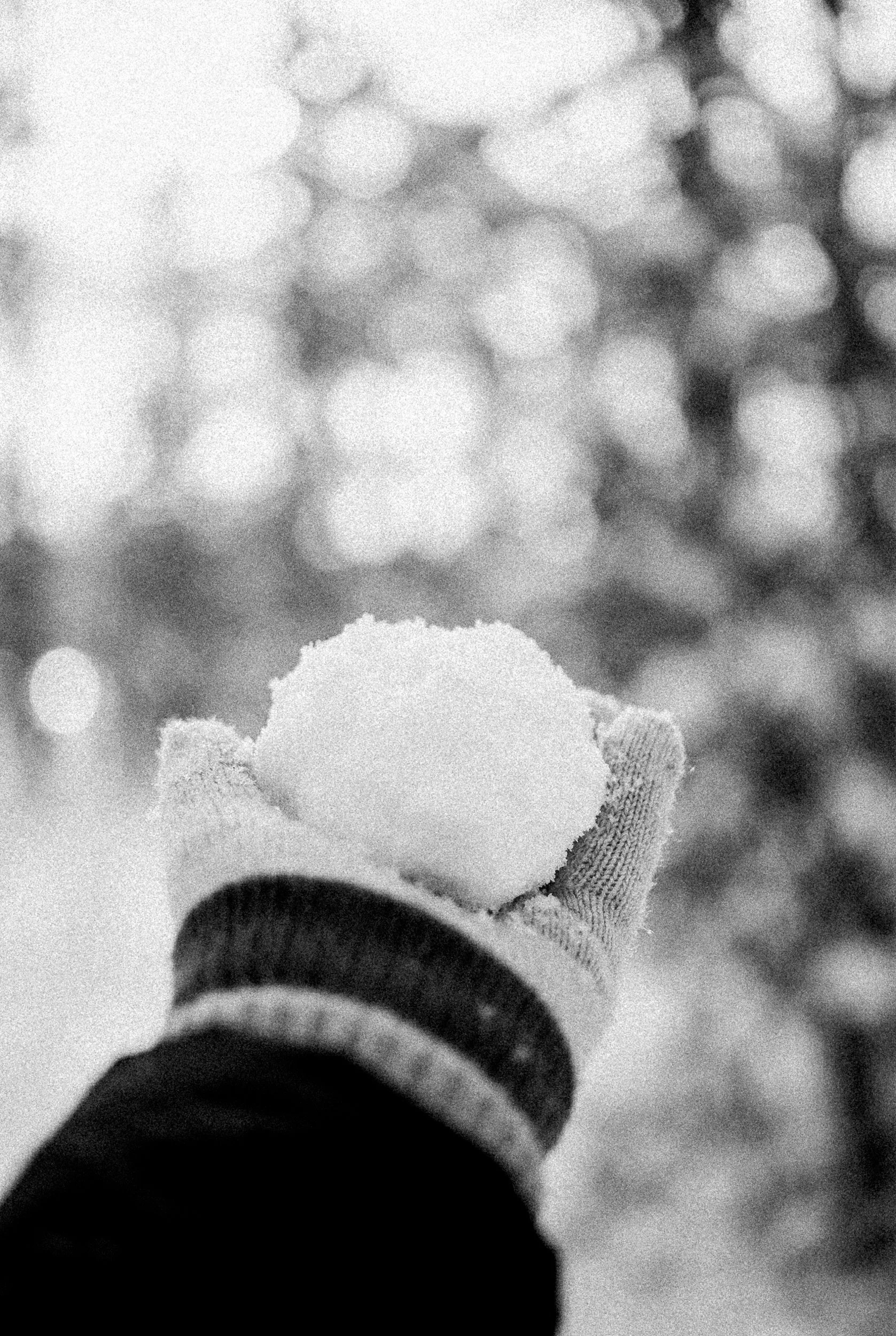 Bonphotage photography -1010.jpg