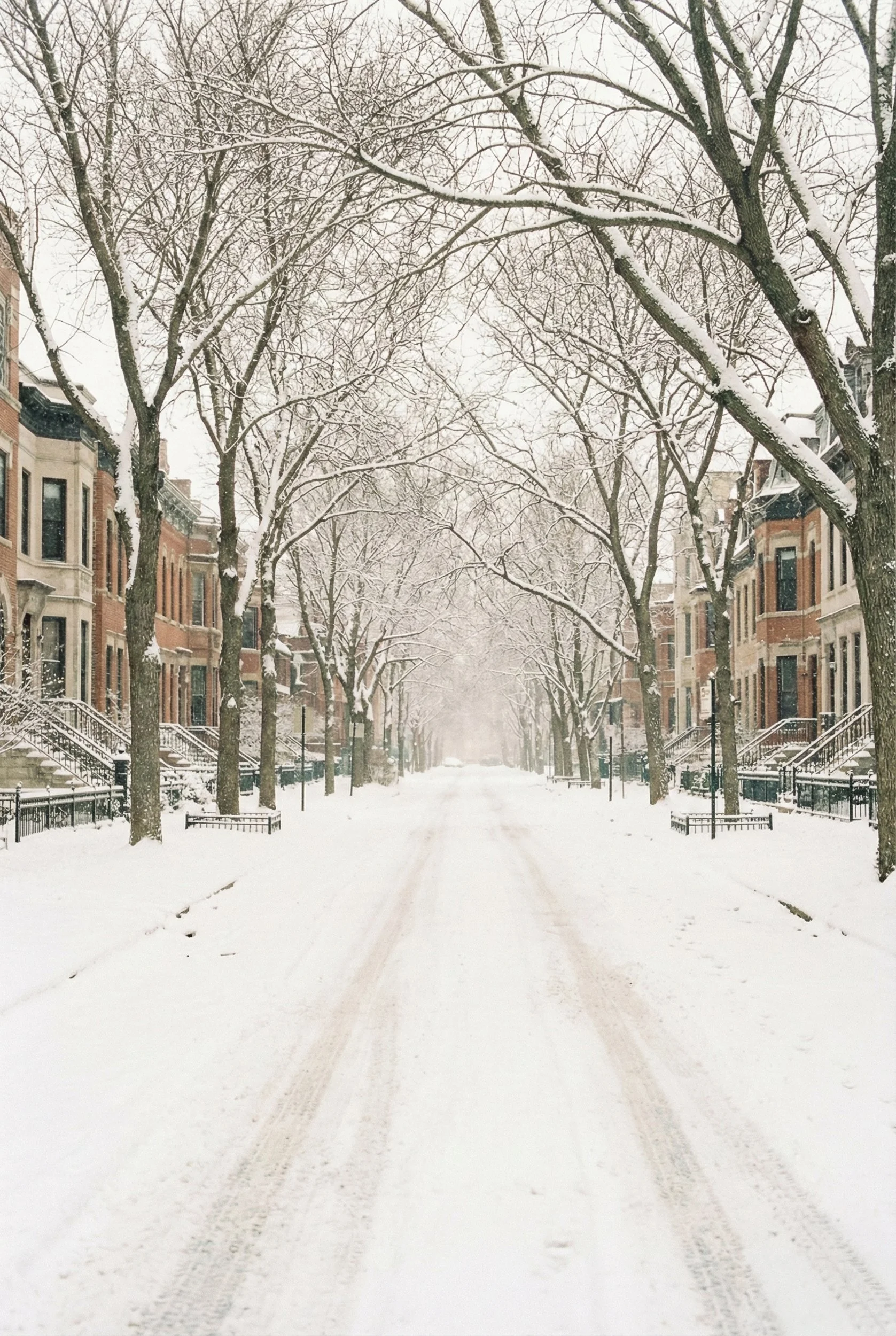 bonphotage photography -653.jpg