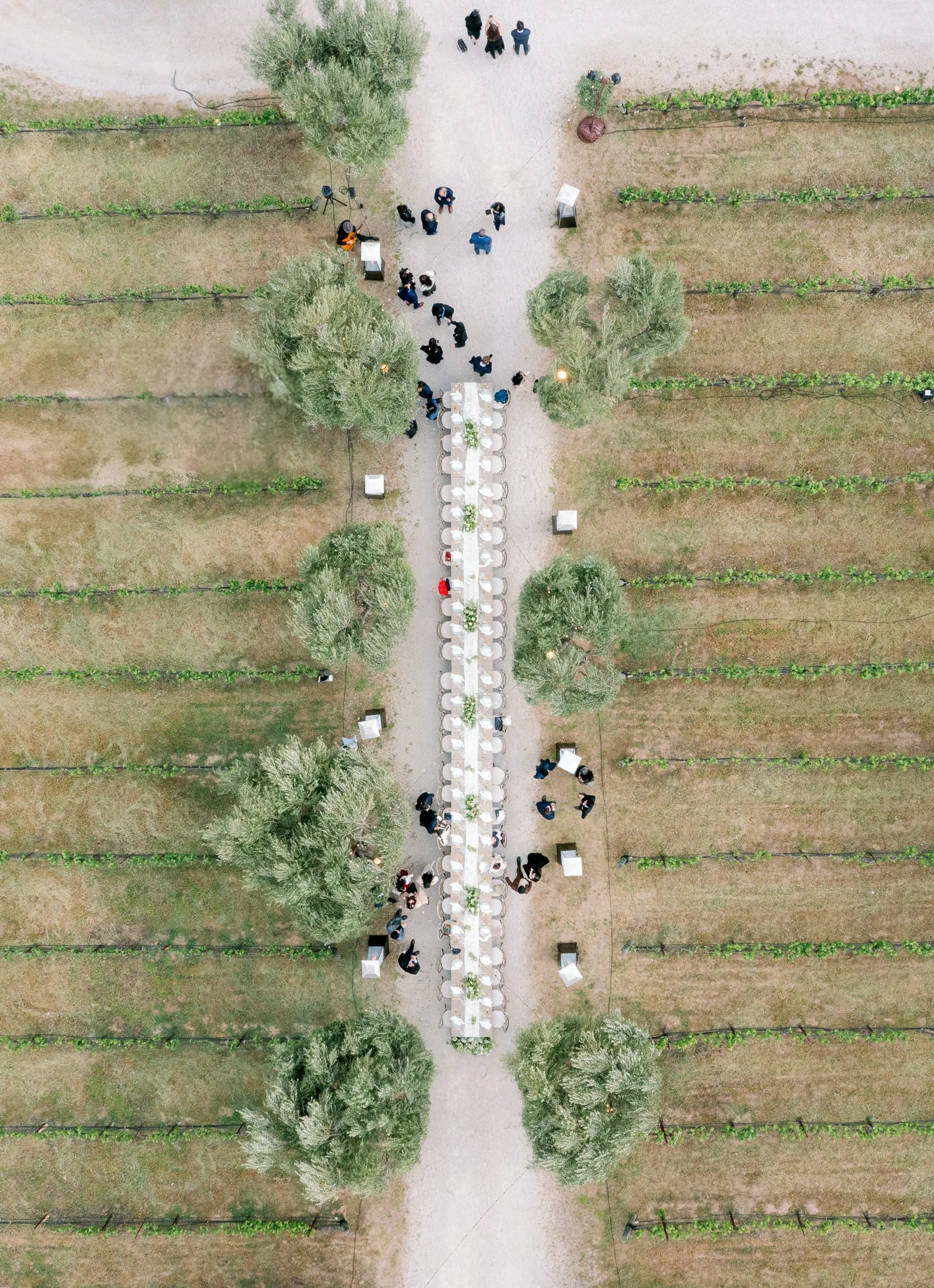 Sunstone Villa Winery Santa Ynez Wedding Welcome Dinner - Bonphotage Chicago and Los Angeles Fine Art Wedding Photography and Videography