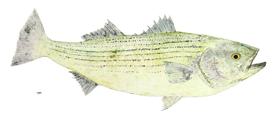 "Seasoned and Beautiful" by Terence Mangold