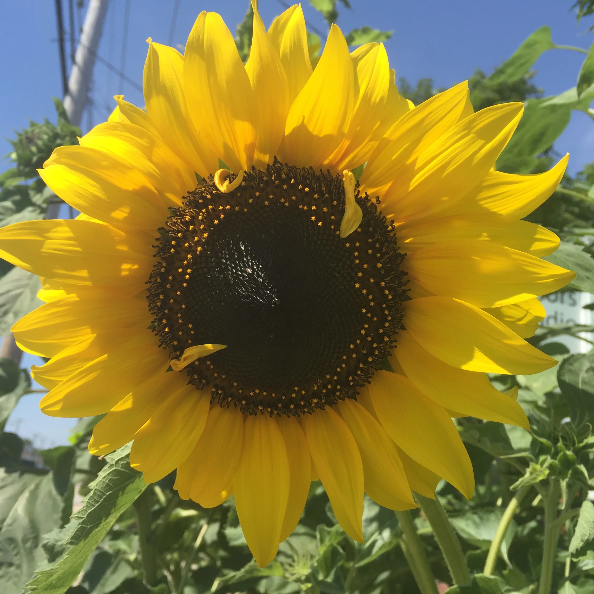 The Best Gift Ideas For Mom This Mother’s Day