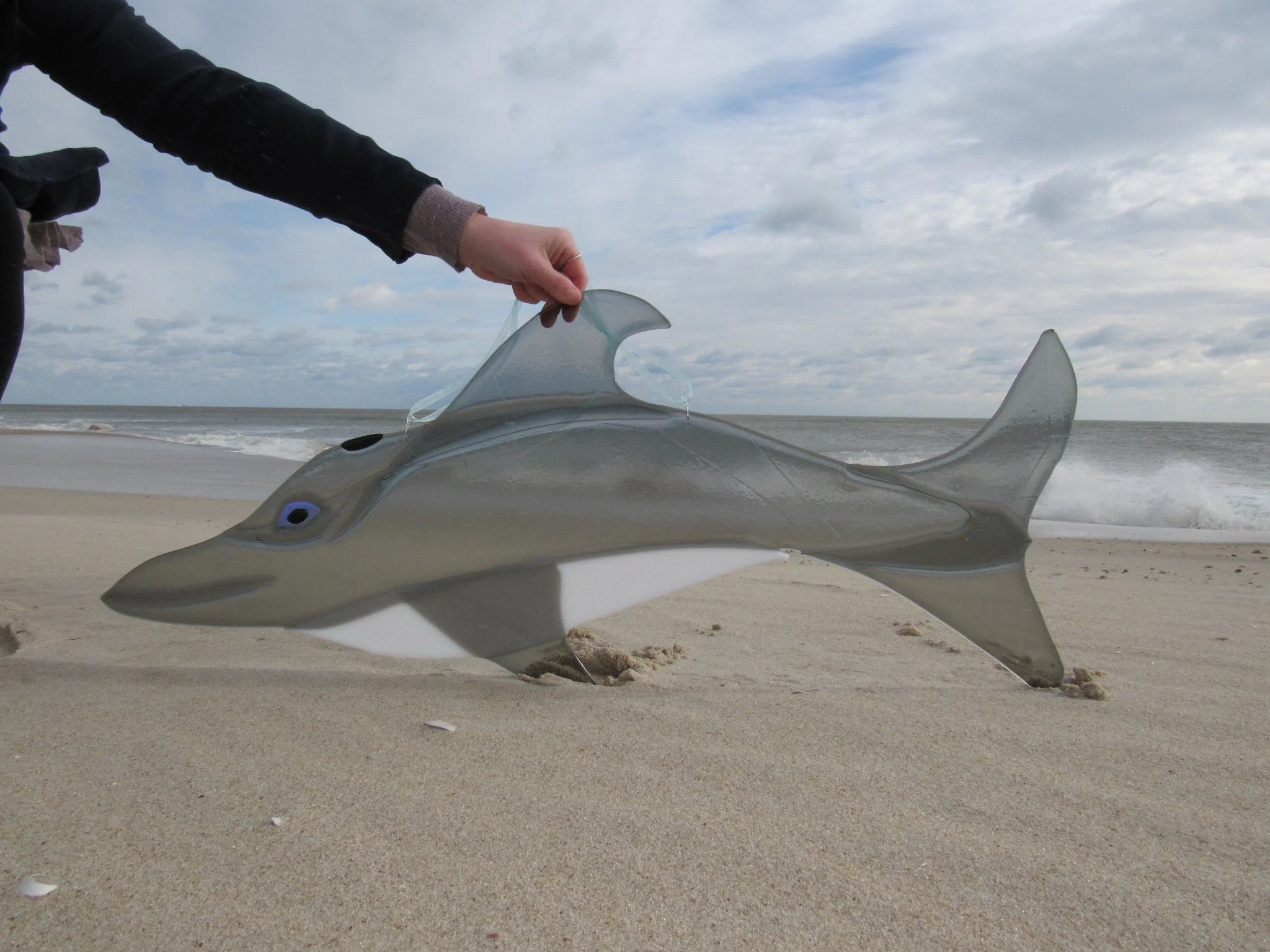 Custom Fused Glass Dolphin Lightcatcher.jpg