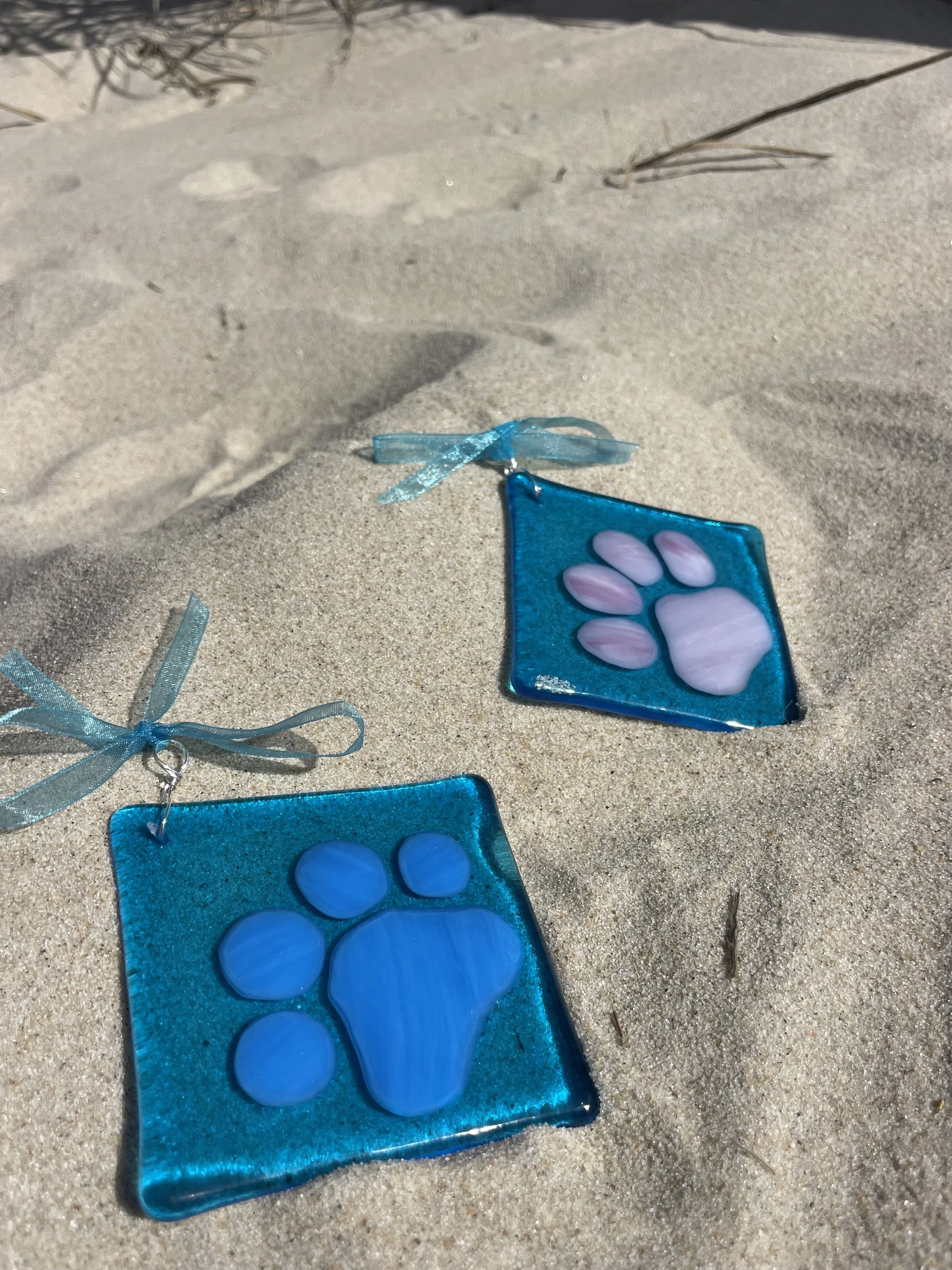 pawprints.jpeg
