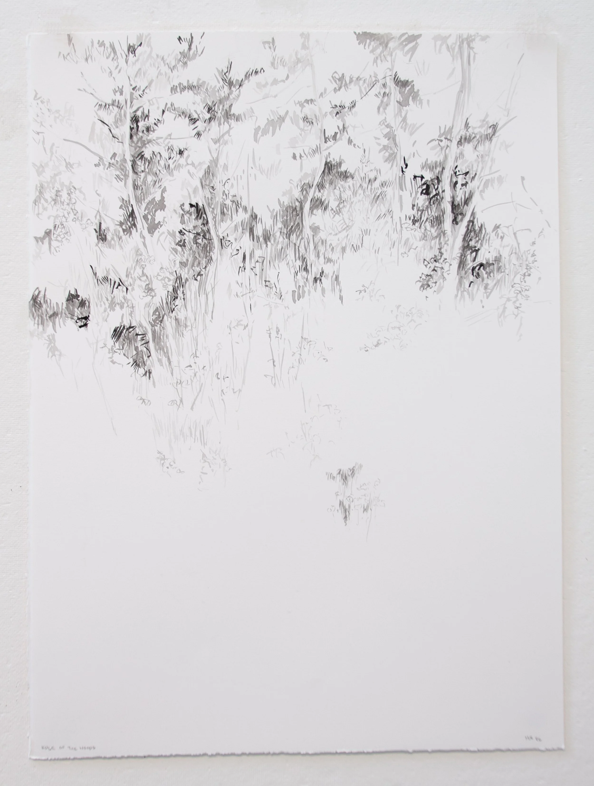 Edge of the Woods-Edit.jpg