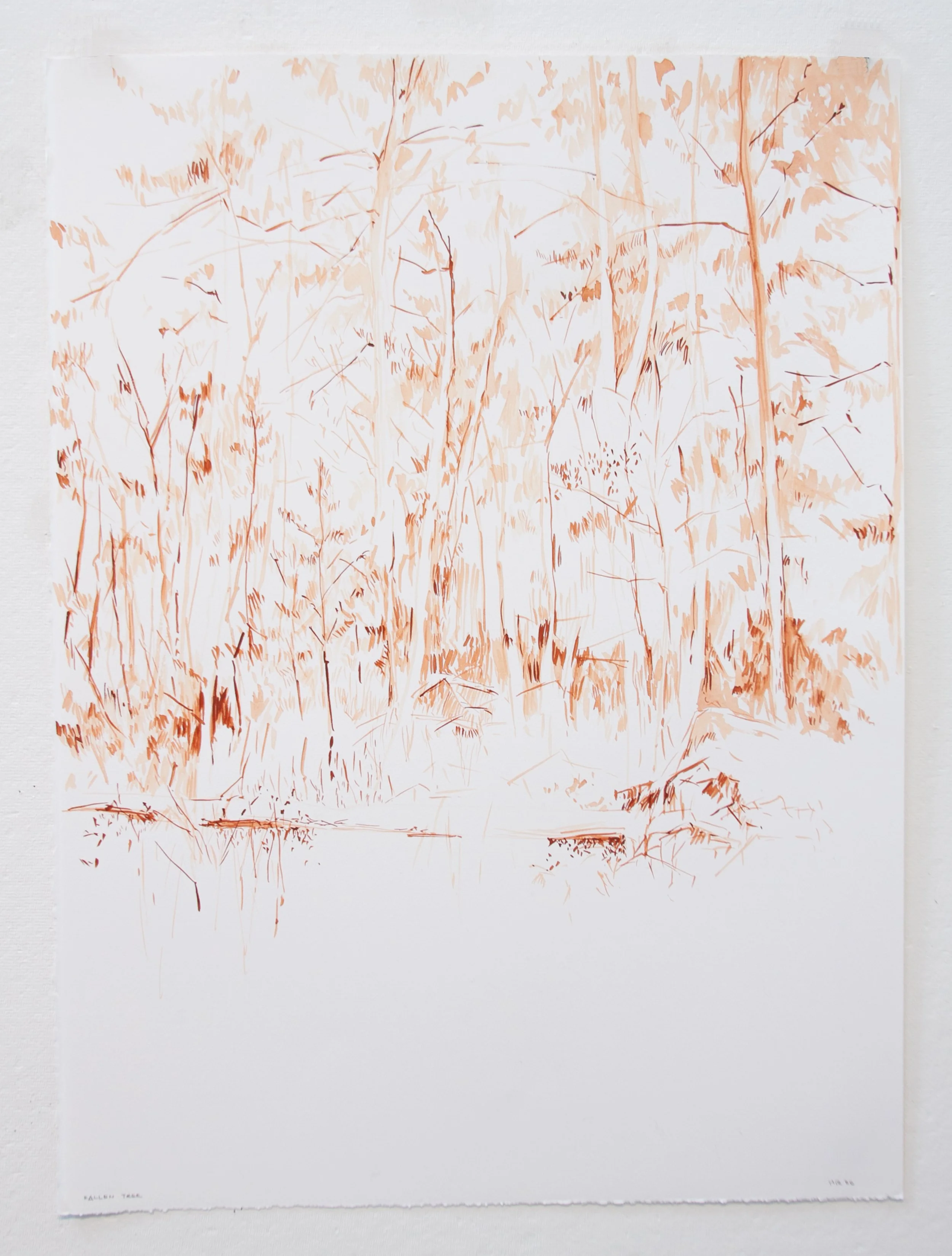 Fallen Tree-Edit-Saatchi Large 2-2.jpg