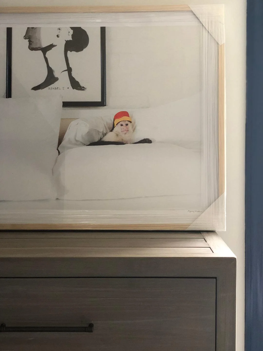 chrisdresser.jpg