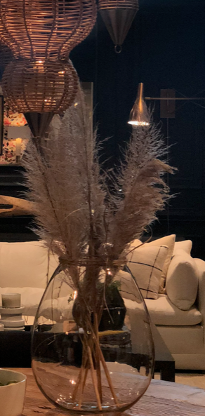 pampas-grass-design-high-point-market.png