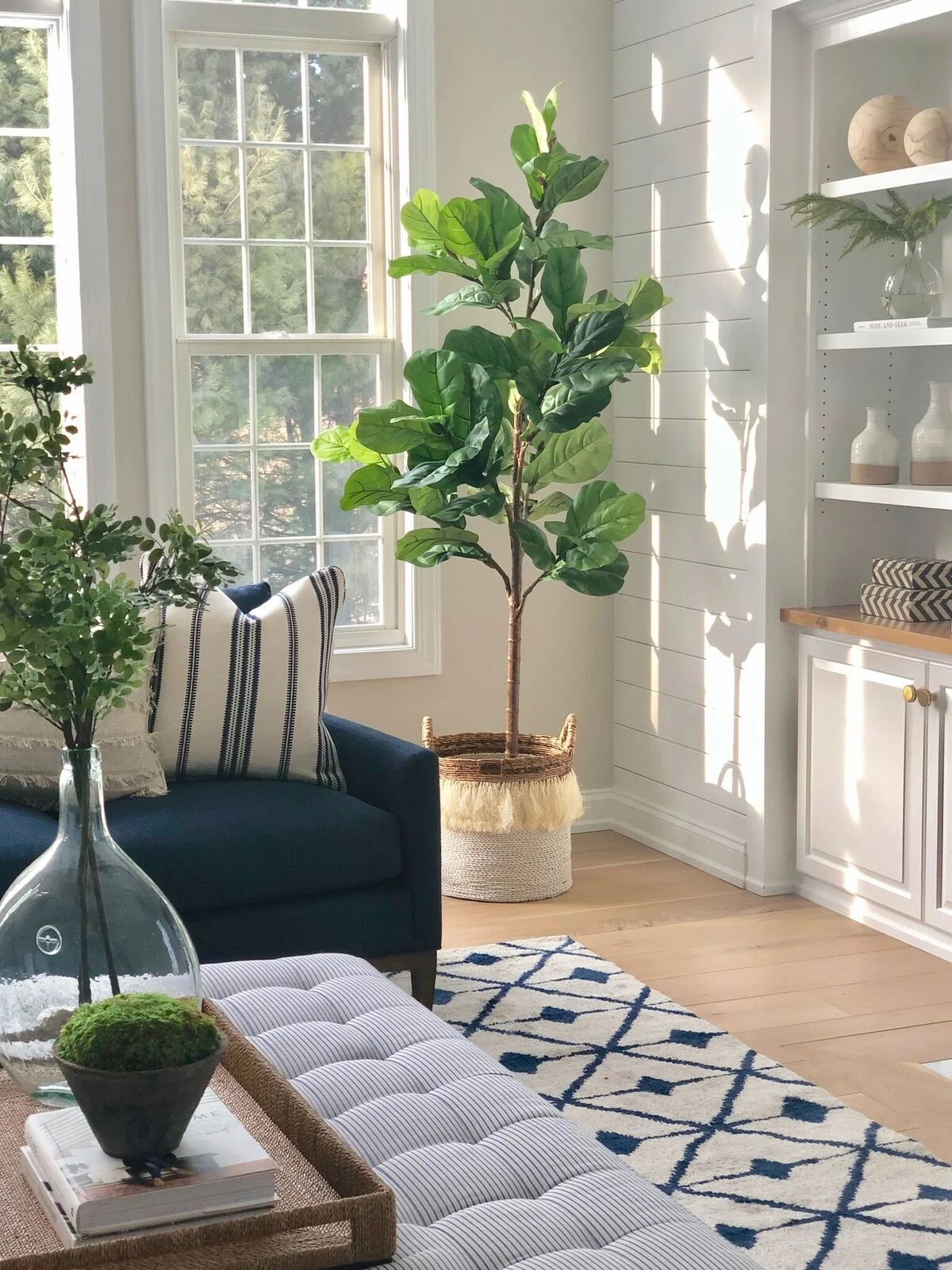 stephanie-kraus-designs-mainline-pa-family-room-project-after-fiddle-trees.jpg