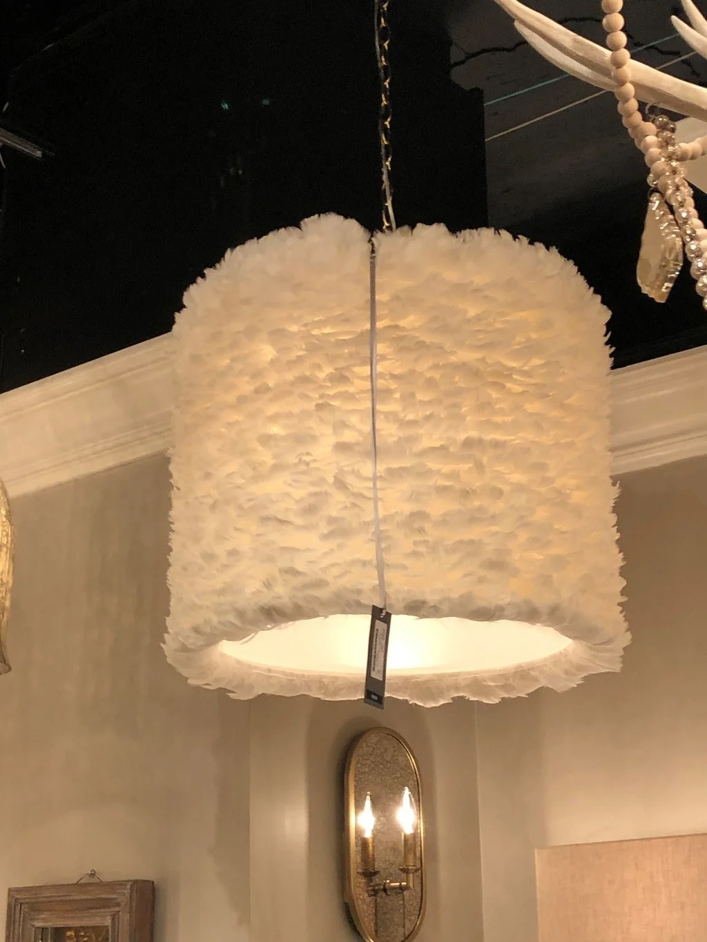 stephaniekrausdesigns-pa-mainline-interior-design-trends-2019-feathers-lighting.jpg