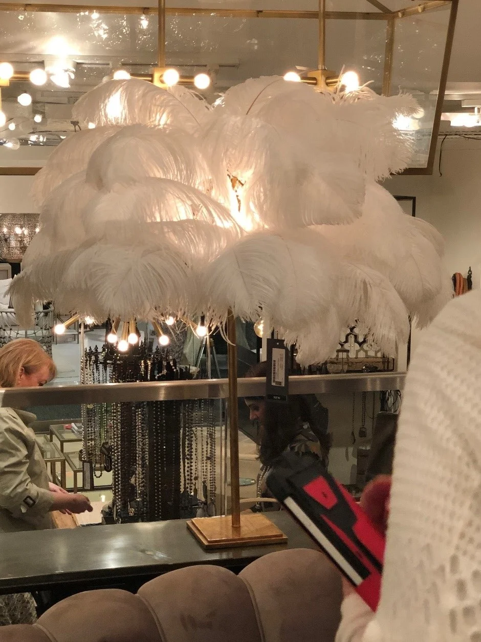 stephaniekrausdesigns-pa-mainline-interior-design-trends-2019-feathers-lamp.jpg